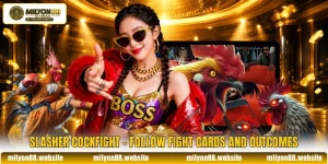 Slasher Cockfight - Follow Fight Cards And Outcomes